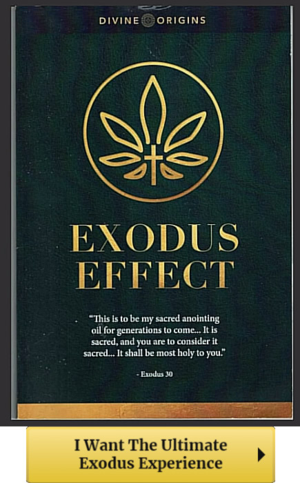 Exodus Effect Review: Teddy Daniels' Breakthrough