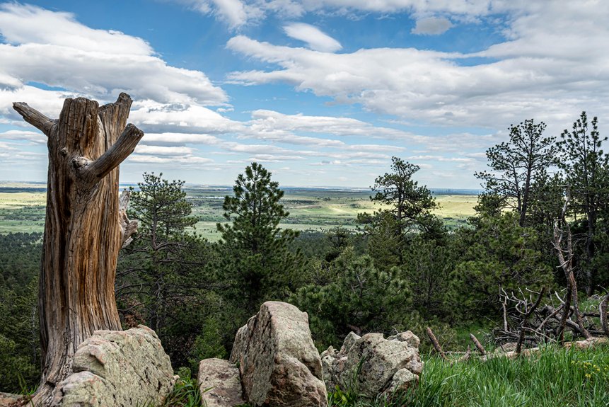 colorado ccw permit guide