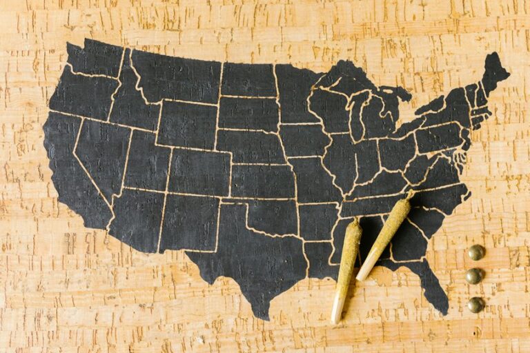 concealed carry state laws